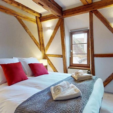 La Balade De Molly Apartment Colmar Luaran gambar