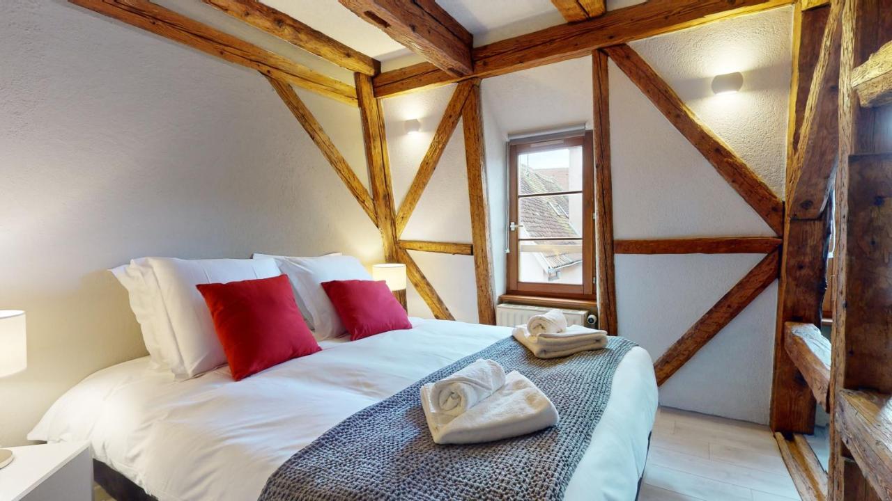 La Balade De Molly Apartment Colmar Luaran gambar