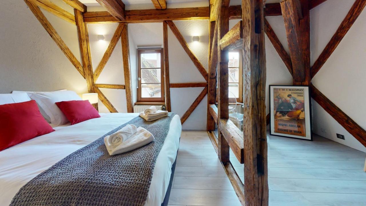 La Balade De Molly Apartment Colmar Luaran gambar