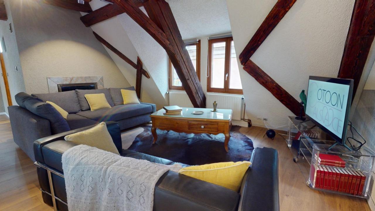 La Balade De Molly Apartment Colmar Luaran gambar