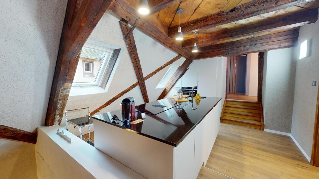 La Balade De Molly Apartment Colmar Luaran gambar