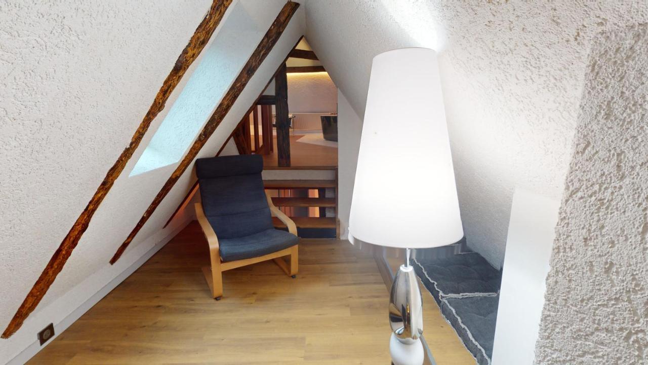 La Balade De Molly Apartment Colmar Luaran gambar
