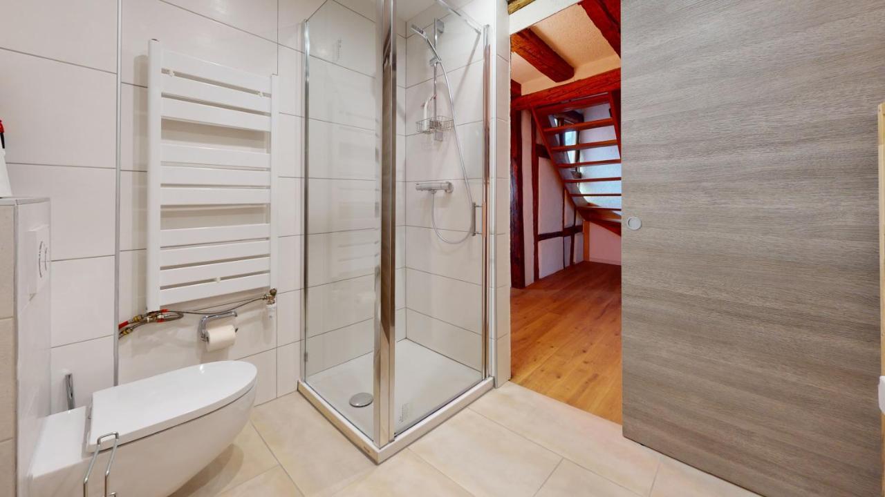 La Balade De Molly Apartment Colmar Luaran gambar