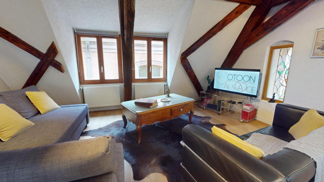 La Balade De Molly Apartment Colmar Luaran gambar