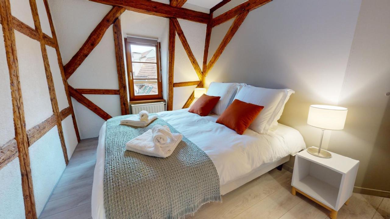 La Balade De Molly Apartment Colmar Luaran gambar